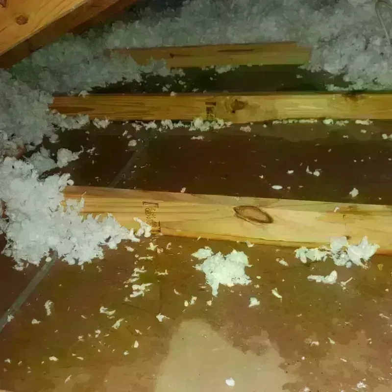 Attic Water Damage in Canyon Rim, UT