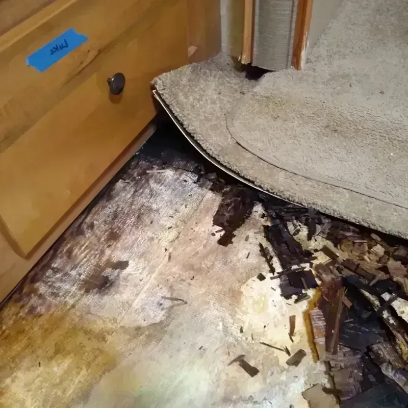 Best Wood Floor Water Damage Service in Canyon Rim, UT